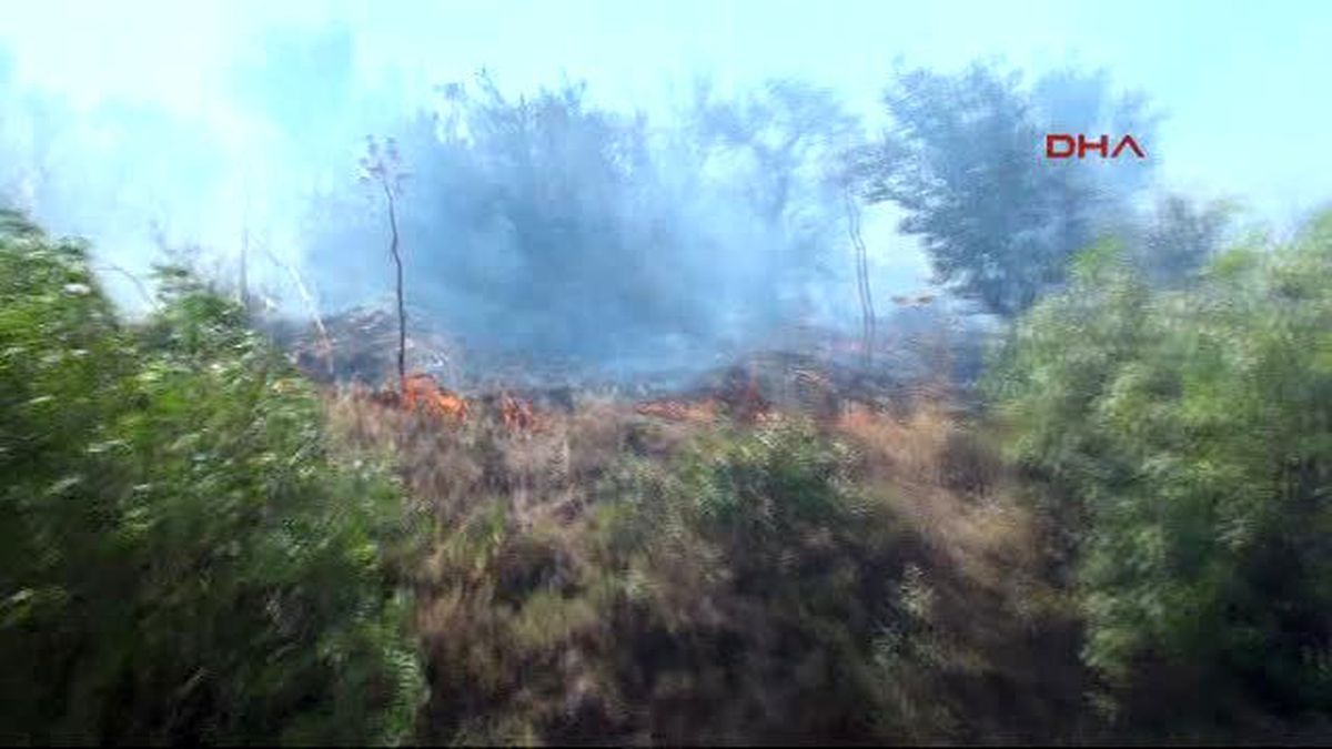 Bodrum Alevler Cenneti Küle Çevirdi