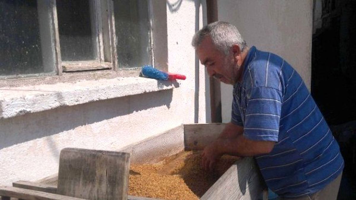 Bulgurluk Buğday Tavlama Sanatı