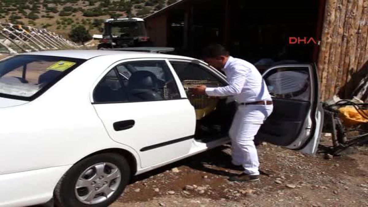 Burdur Küçük Kerkenez Doğaya Salınması İçin Burdur\'a Getirildi