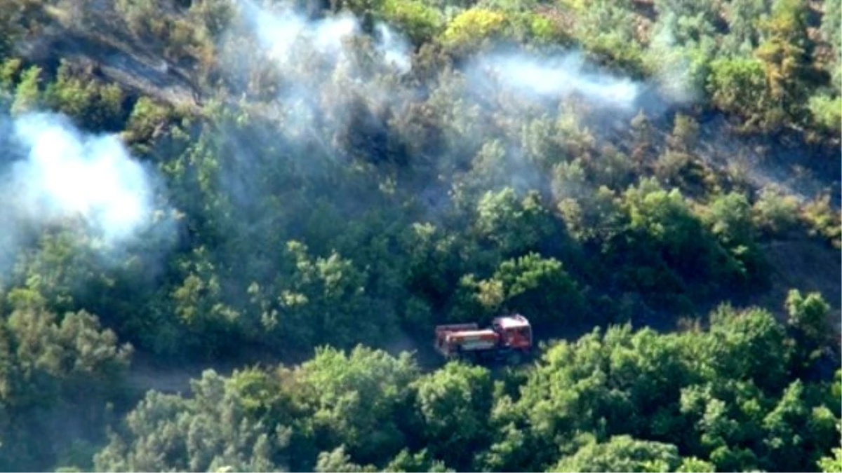 Bursa\'da Orman Yangını