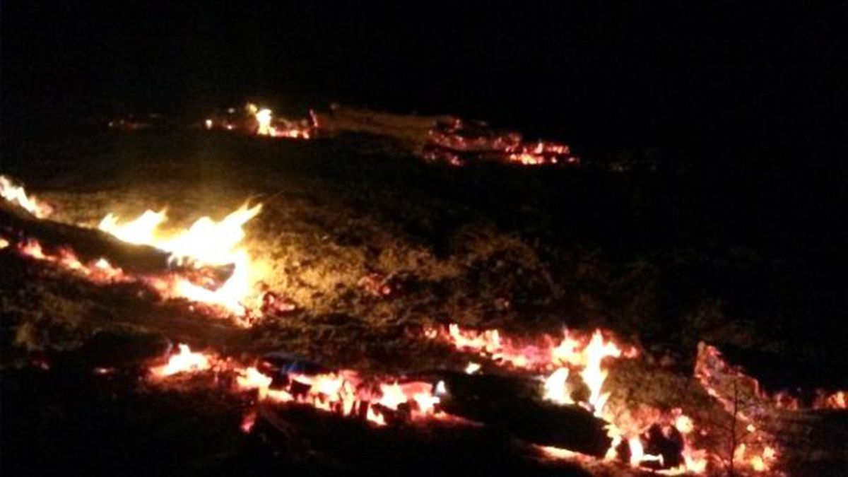 Diyarbakır'da Çıkan Yangında Bin Dönümlük Alan Kül Oldu