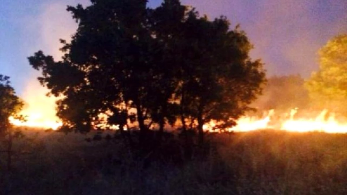 Diyarbakır\'da Ormanlık Alanda Yangın