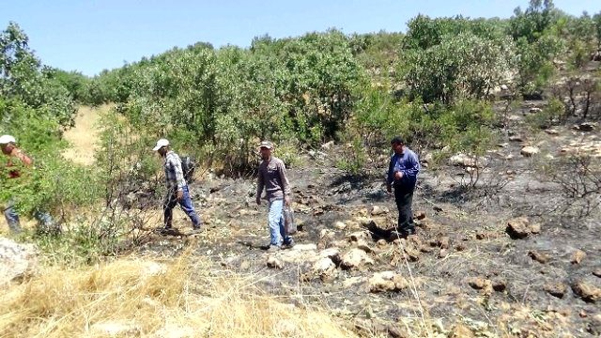 Kulp\'taki Yangının Büyüklüğü Gün Ağarınca Ortaya Çıktı