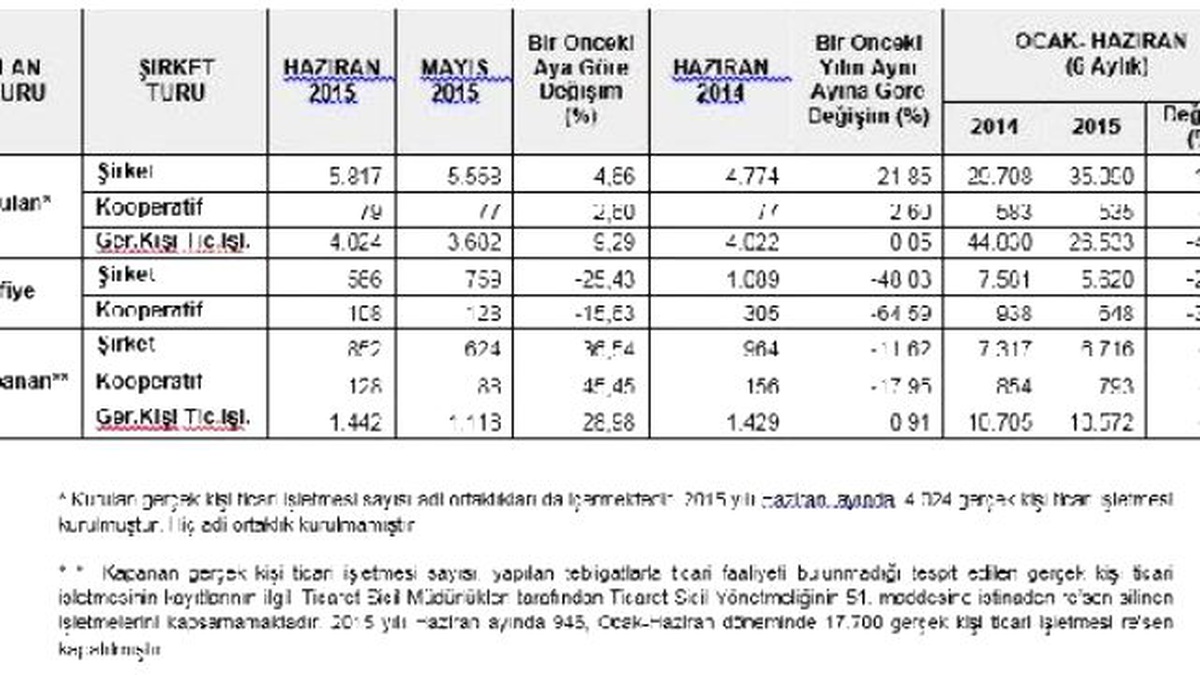 Kurulan Yabancı Şirketlerin Üçte Biri Suriye ve İran Sermayeli