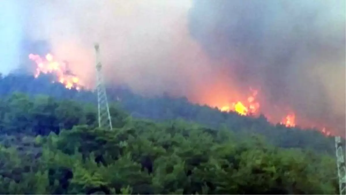 Mersin'deki Orman Yangını