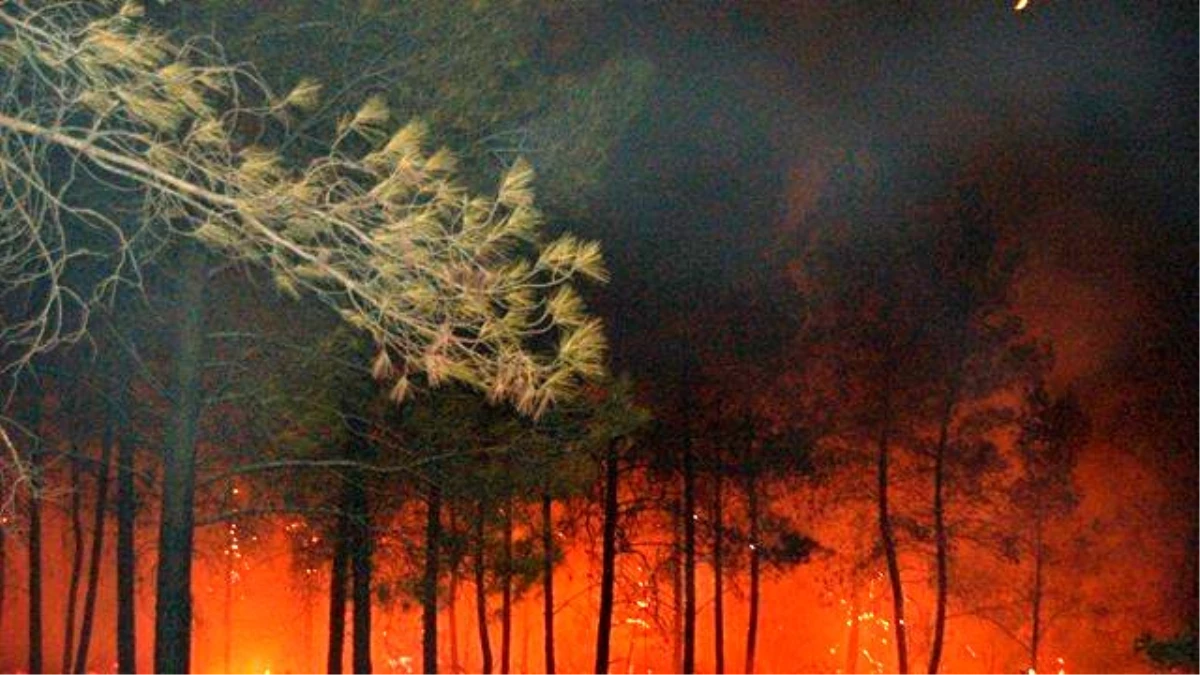 Orman Bölge Müdürü Erol: "Yangın Riski Artarak Devam Edecek"