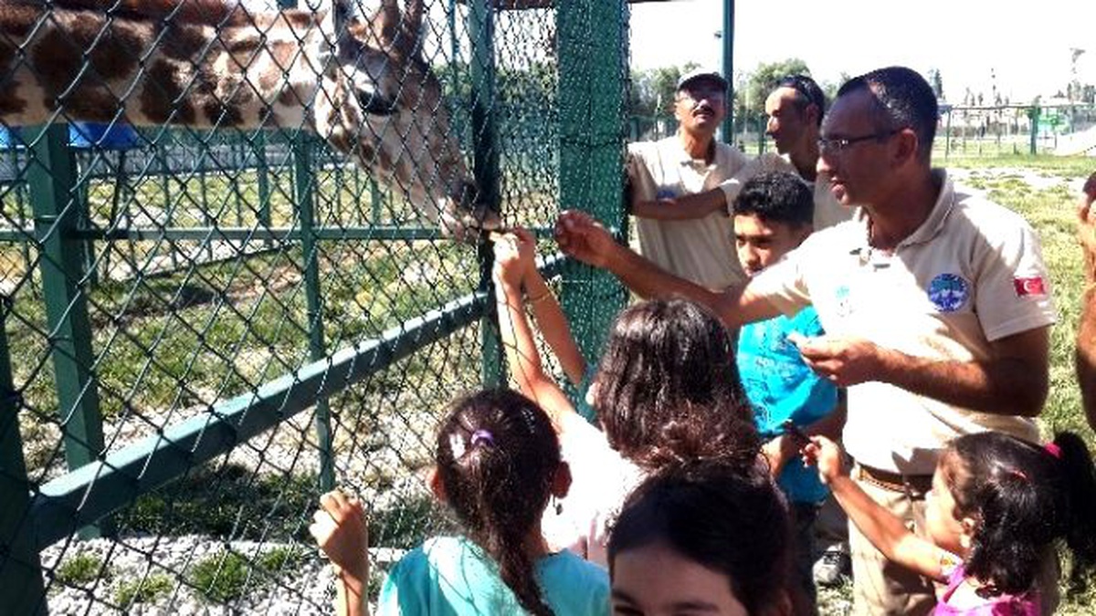 Zürafa Yavrusunun Doğum Günü Kutlandı