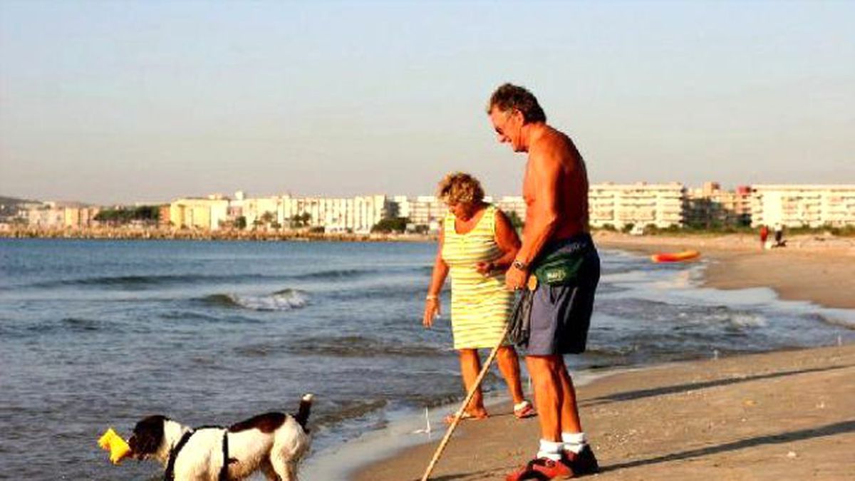 Barcelona\'daki Plaja Sadece Köpekler Girebilecek