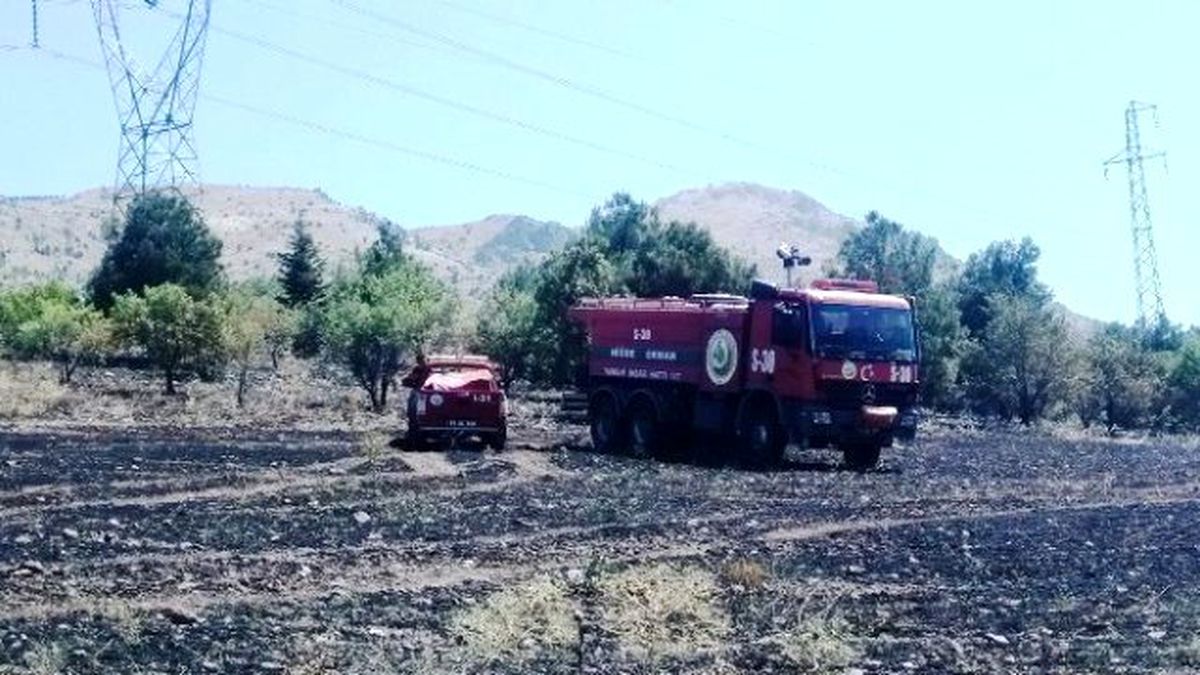 Elektrik Akımına Kapılan Karga Yangına Neden Oldu