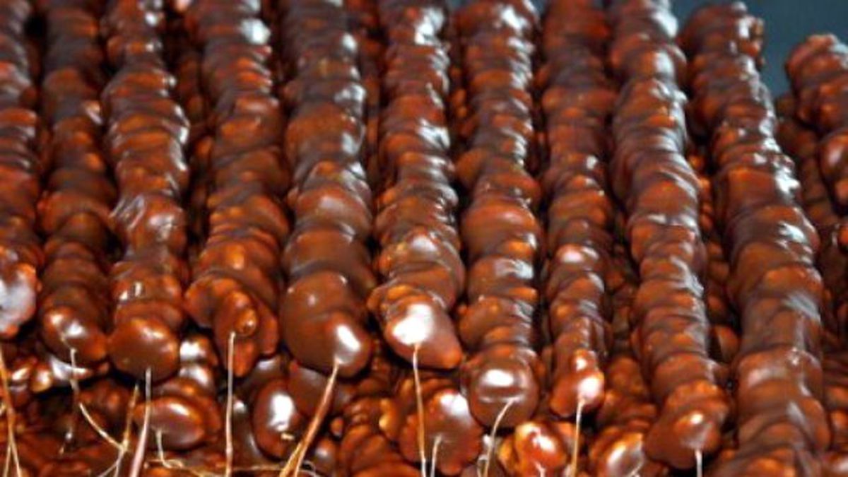 Gümüşhane\'de 22. Uluslararası Kuşburnu-pestil, Kültür ve Turizm Festivali Ertelendi