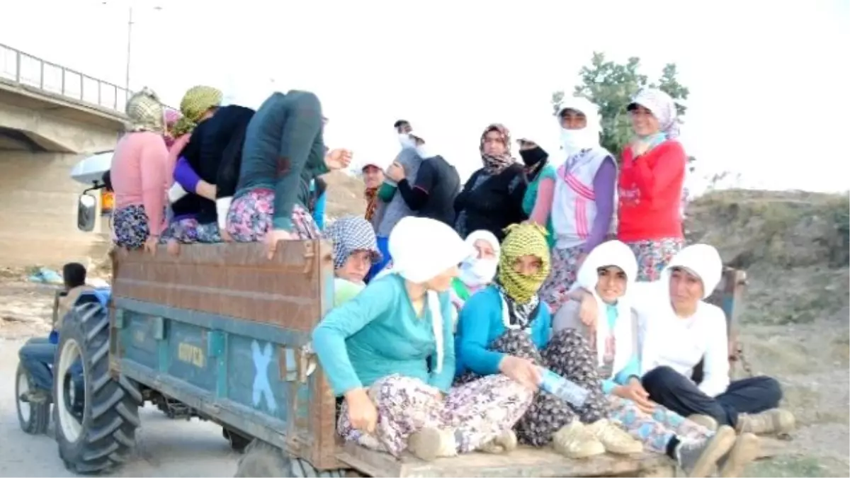 İş Güvenliği Sadece Baret Takmak Değildir