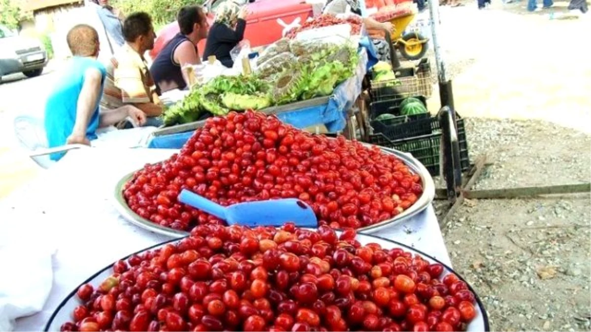 Şenköy Kızılcık Şenliği 2 Ağustos\'ta Yapılacak