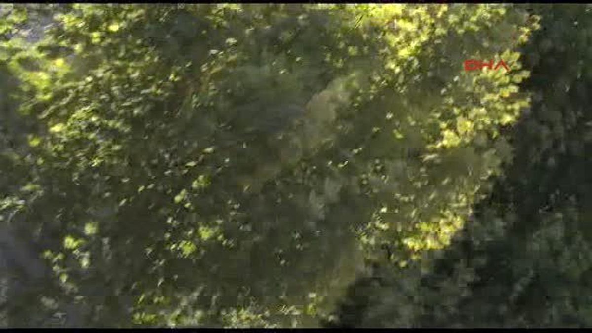 Bahçelievler\'de Banka Soygunu