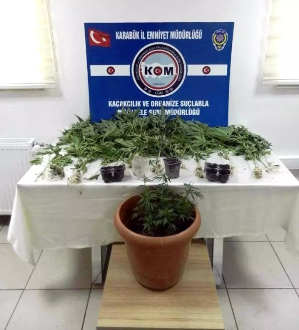 Karabük\'te 21 Kök Hint Keneviri Ele Geçirildi