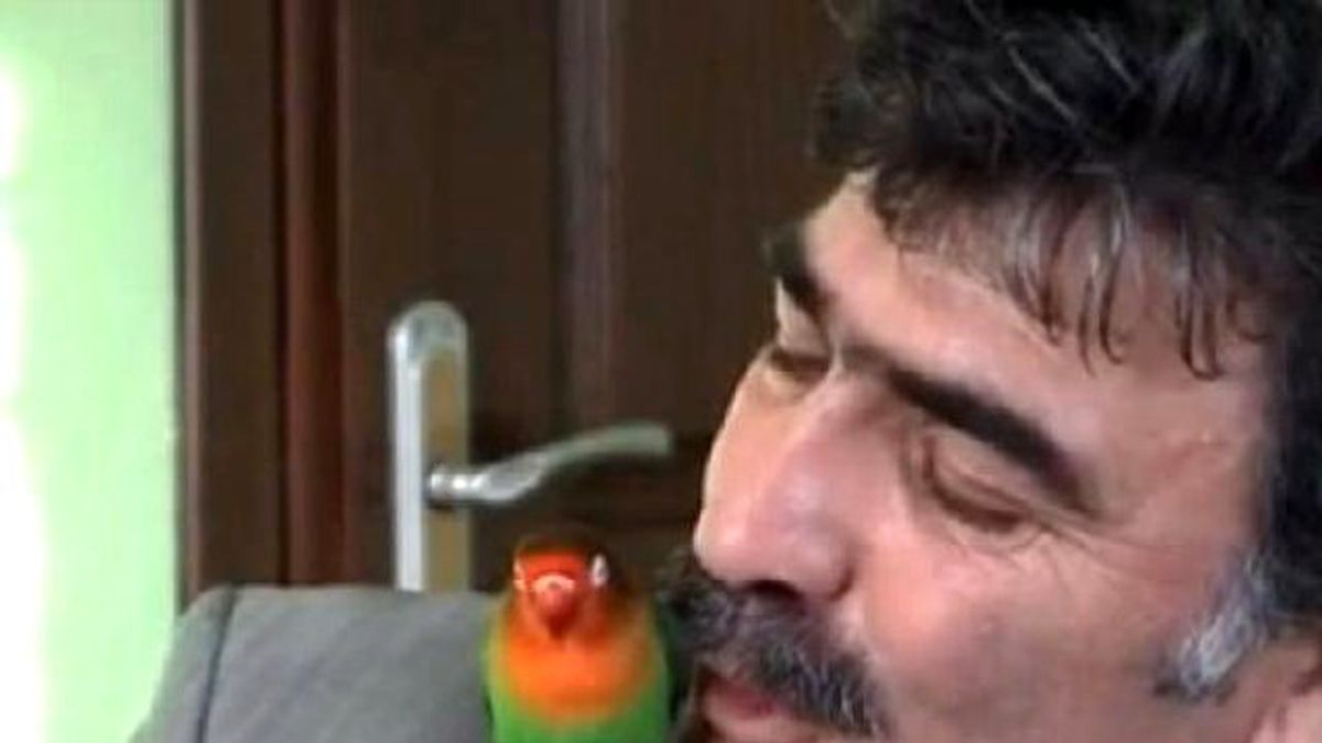 Kargayı da Eğitti