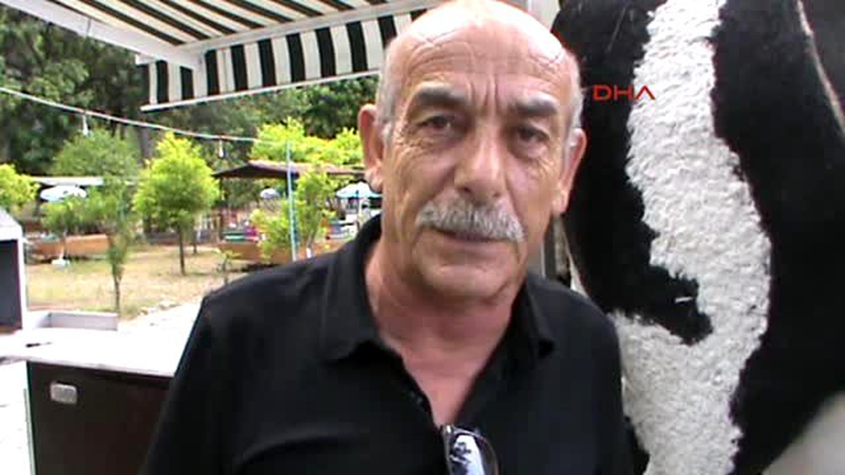 Kemer Parayla Süt ve Ayran Veren İnek Otomatı