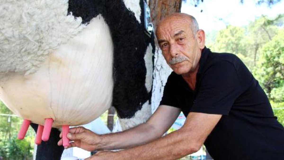 Parayla Süt ve Ayran Veren İnek Otomatı