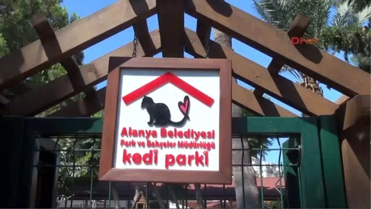 Alanya Kedilere Özel Ev ve Park