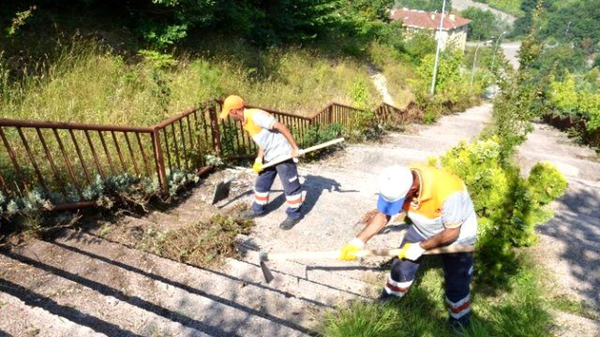 Düzce Belediyesi Kalıcı Konutlarda Mıntıka Temizliği Yapıyor