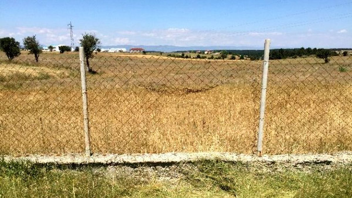 Kastamonu\'da Hırsızlar İşçilerin Hobi Olarak Beslediği Koyunları Çaldı