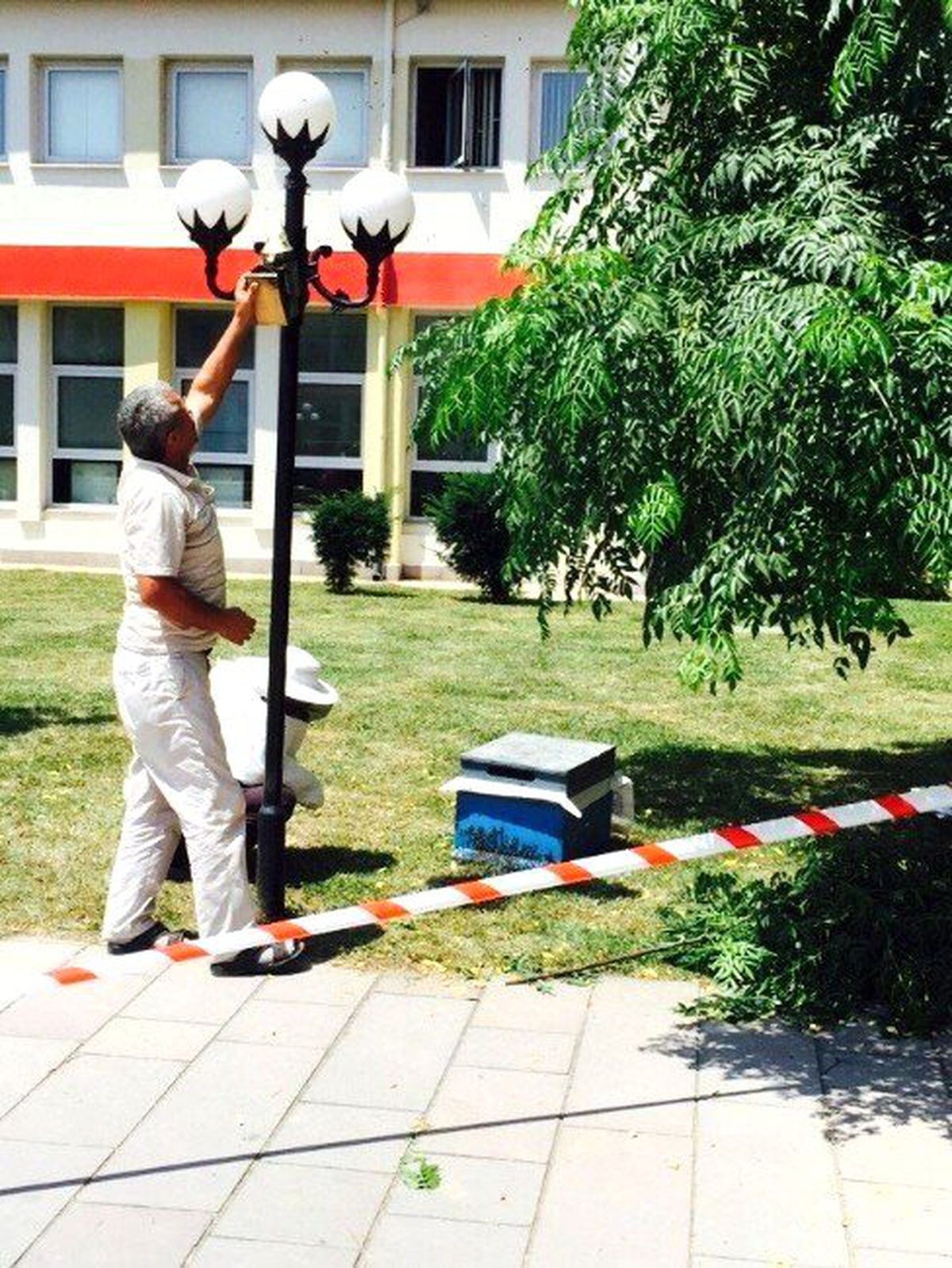 Kent Merkezinde Arı Sürüsü Endişeye Neden Oldu