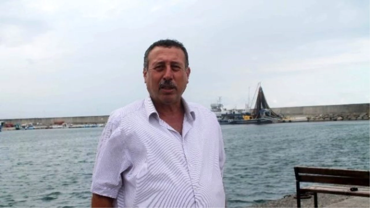 Palamut Sinop\'ta Oltaya Takıldı, Trabzon\'da Balıkçının Umudu Oldu