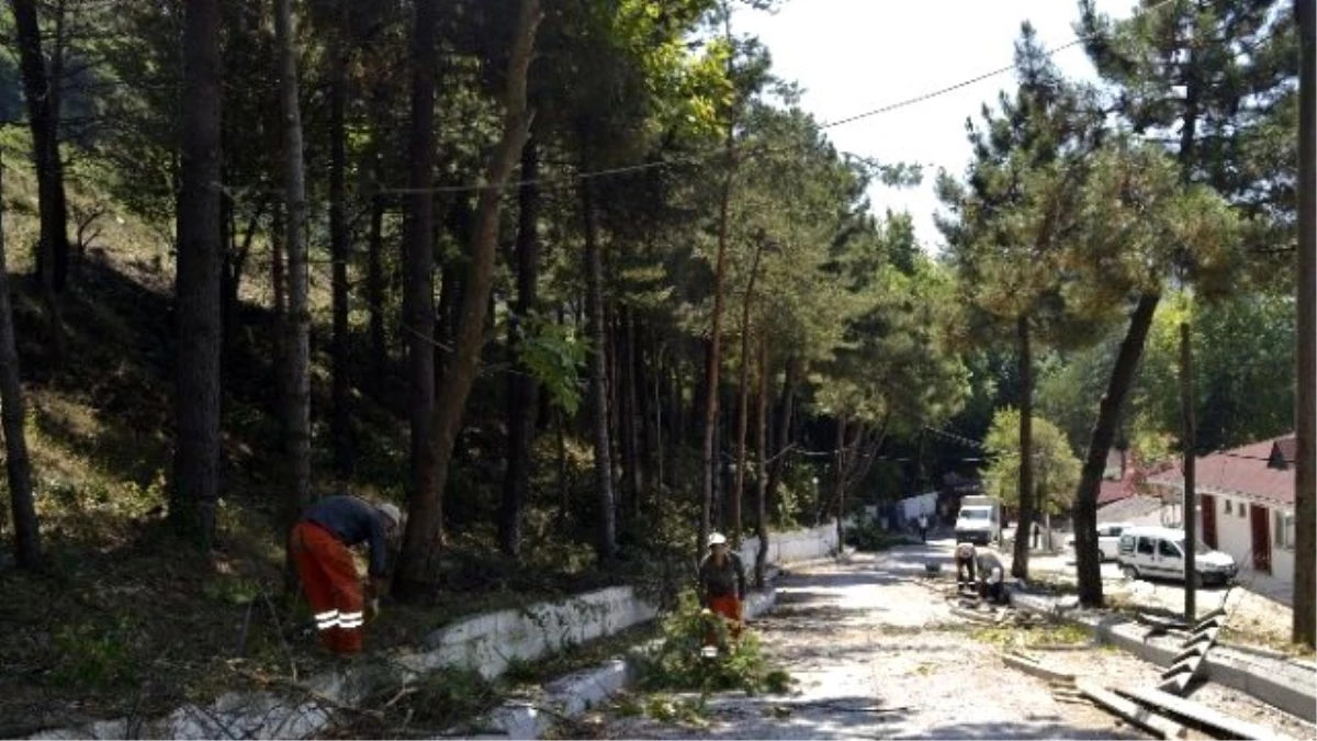 Protokol Üyeleri Plajda İncelemelerde Bulundu