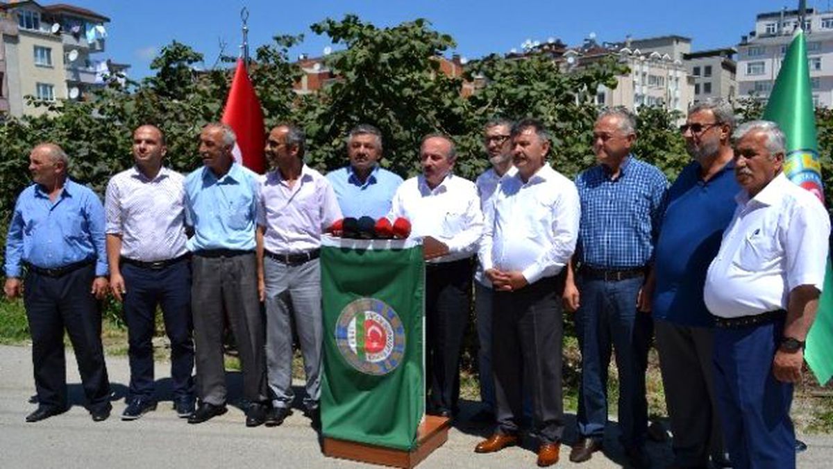 Tzob\'un Fındık Rekolte Tahmini 590 Bin Ton