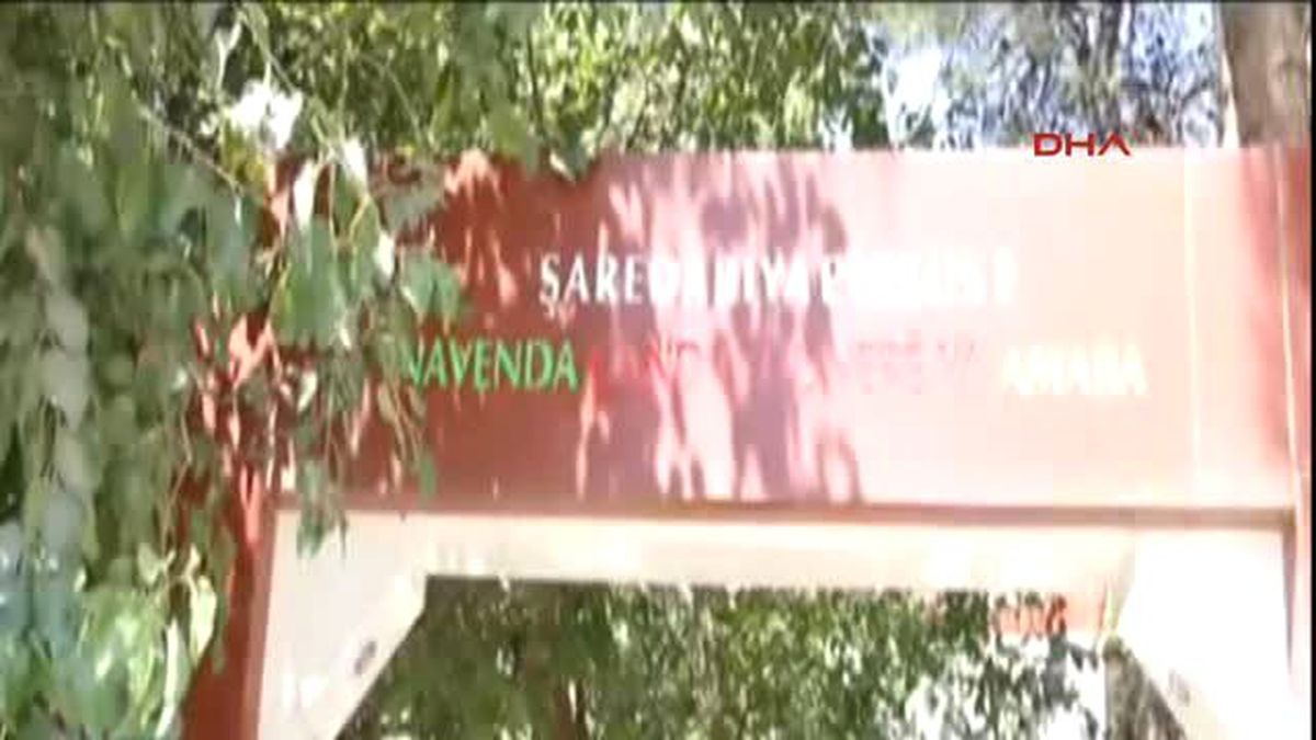 Video Shows Last 45 Minutes Before The Suruç Massacre