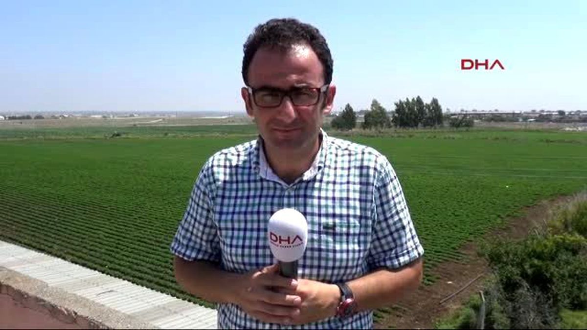 Adana İncirlik, Şimdilik Sessiz