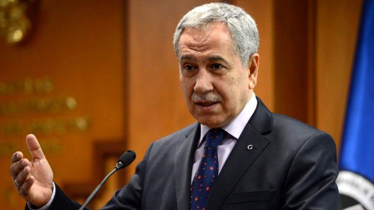 Arınç: Türkiye Şapşiklerin Ülkesi Değildir