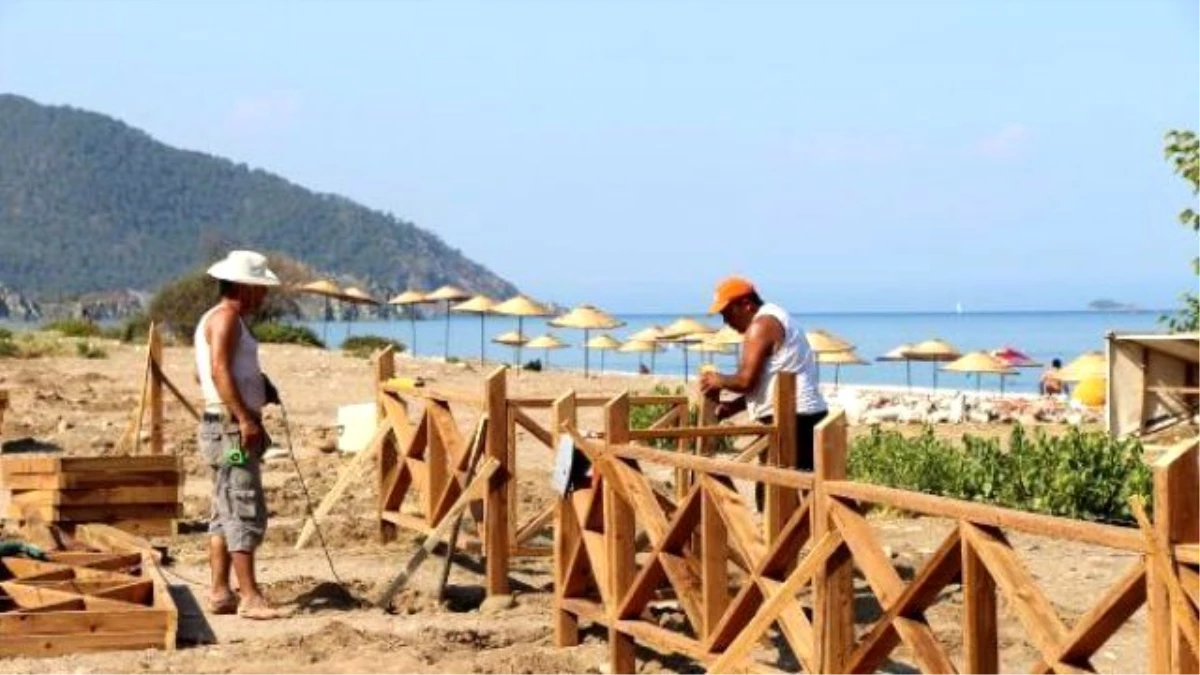 Baby Caretta Carettas To Be Protected By Wooden Hedges İn Southern Province