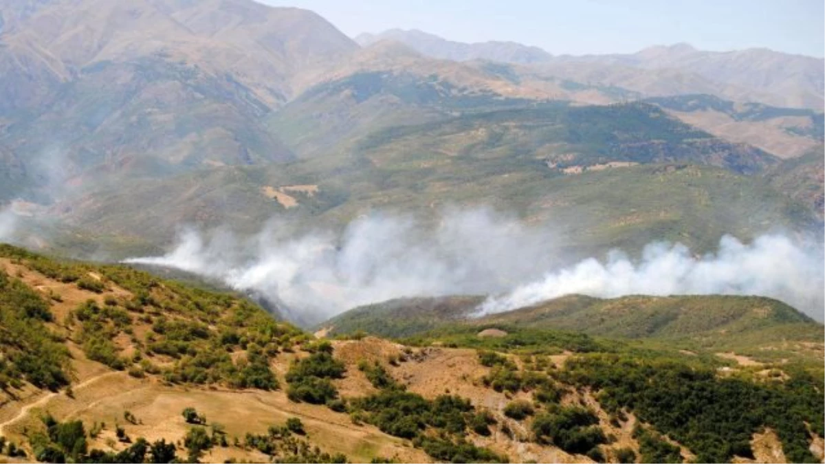 Tunceli\'deki Orman Yangını Kontrol Altına Alınamıyor
