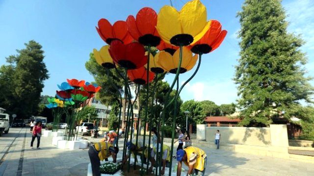 Aydın Sokaklarını Gelincikler Aydınlatacak
