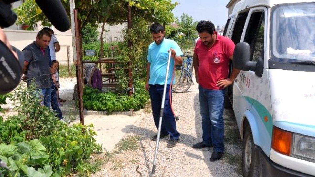İnegöl\'de Yılan Paniği
