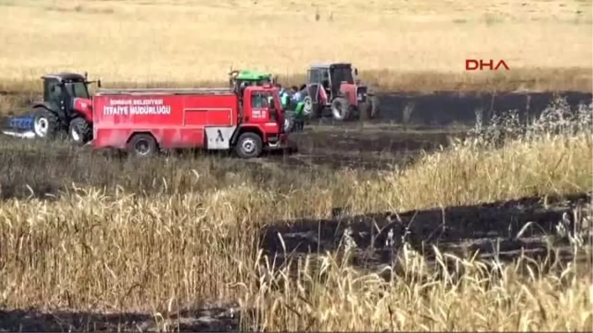 Karga, Bin Dönümlük Hububat Ekili Alanının Yanmasına Neden Oldu