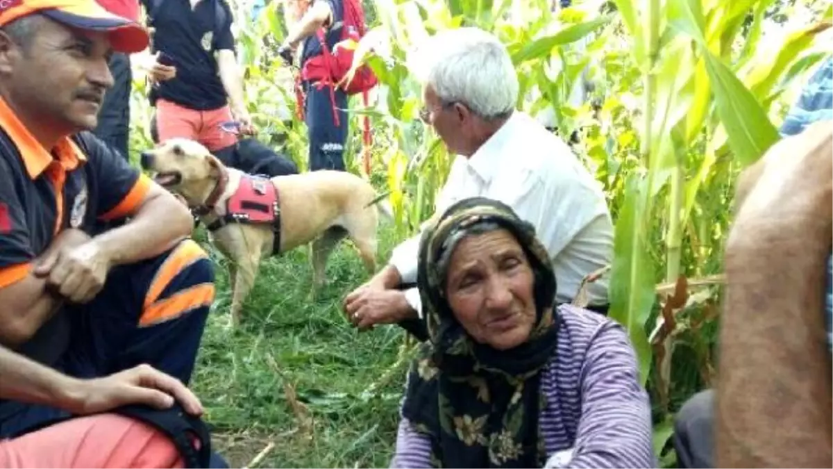 45 Saat Sonra Mısır Tarlasında Bulundu