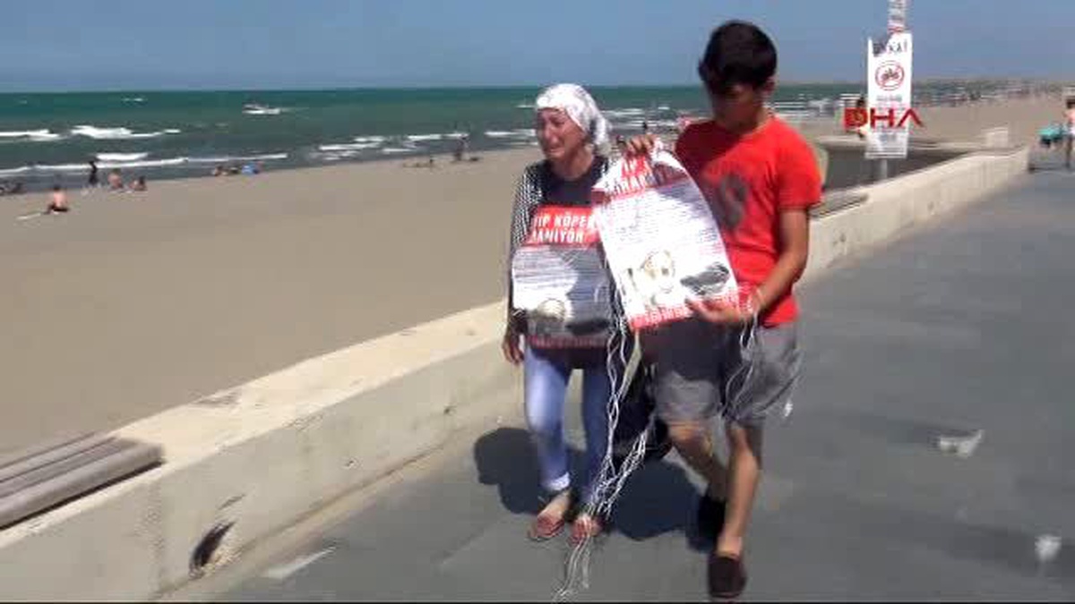 Samsun Kayıp Köpeği Hektor İçin Ağladı