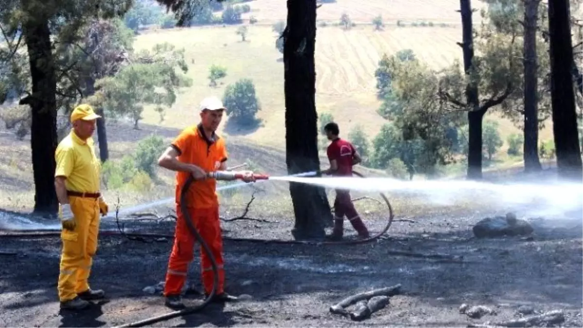 Tarlada Çıkan Yangın Ormana Sıçradı