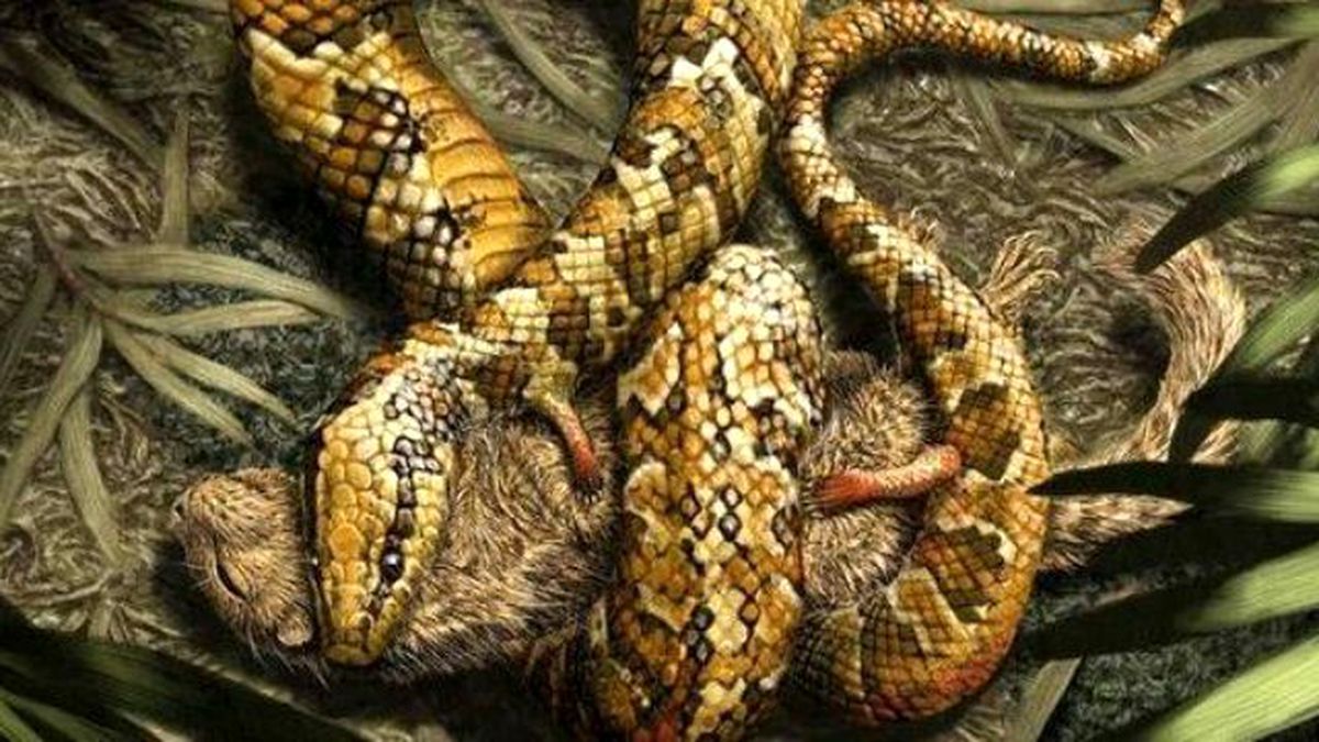 4 Bacaklı Yılan Fosili Bulundu