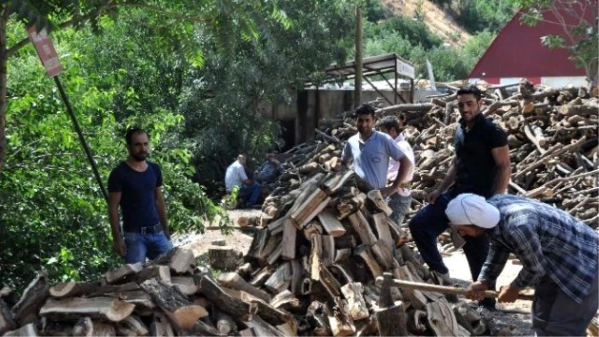 Bitlis\'te Odun Fiyatları El Yakıyor