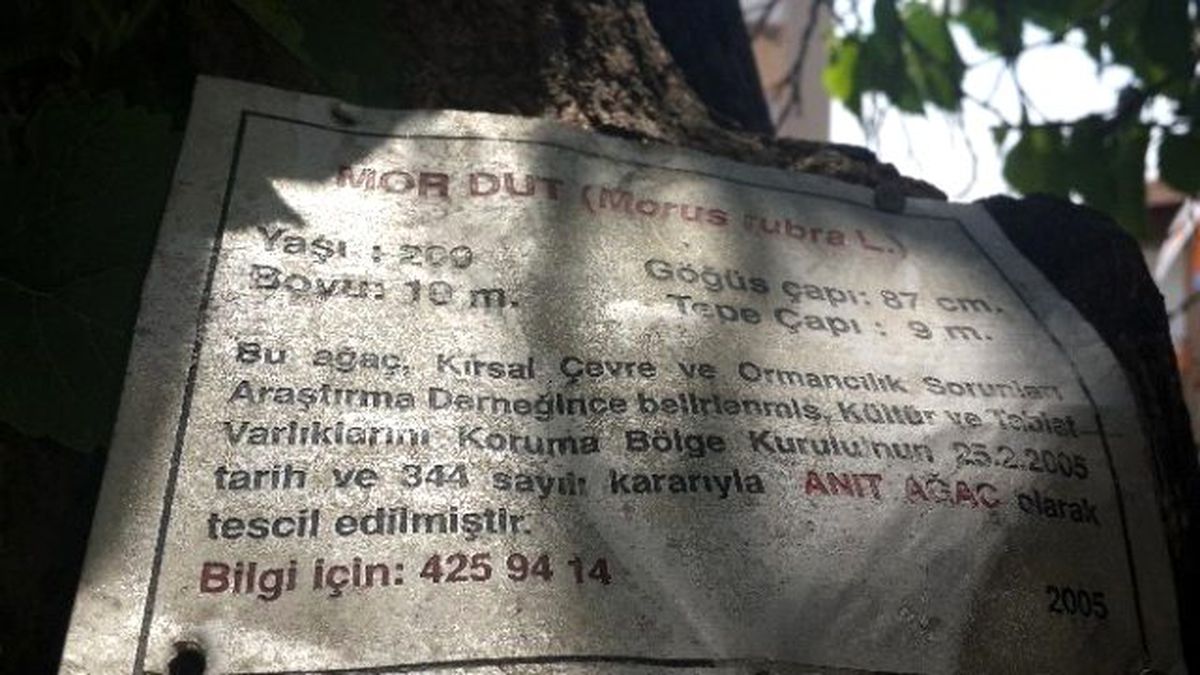 Bu Konak Sanat Kokuyor