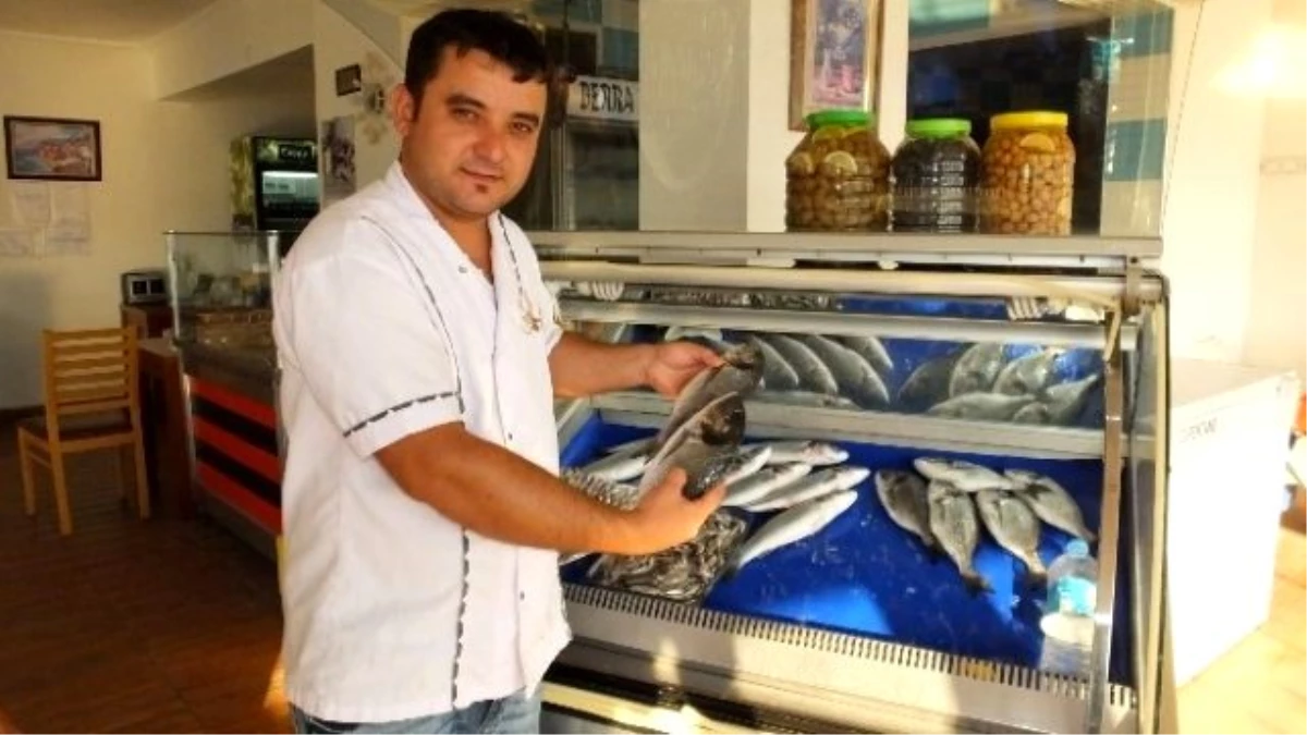 Burhaniye İskele\'de Alkolsüz Balıkçı Lokantası