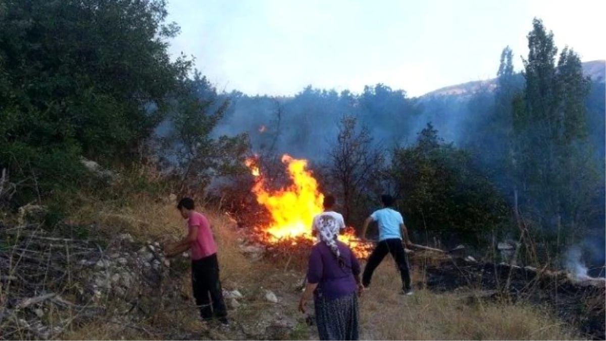 Malatya\'da Anız Yangını 3 Bahçeyi Kül Etti