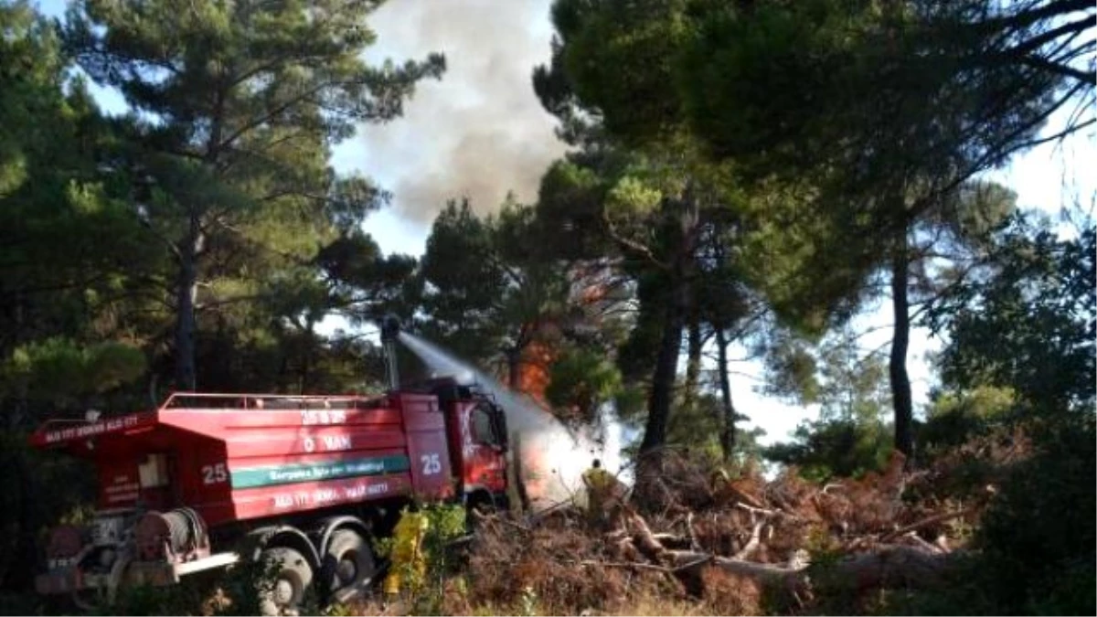 Soma\'da Orman Yangını (2)