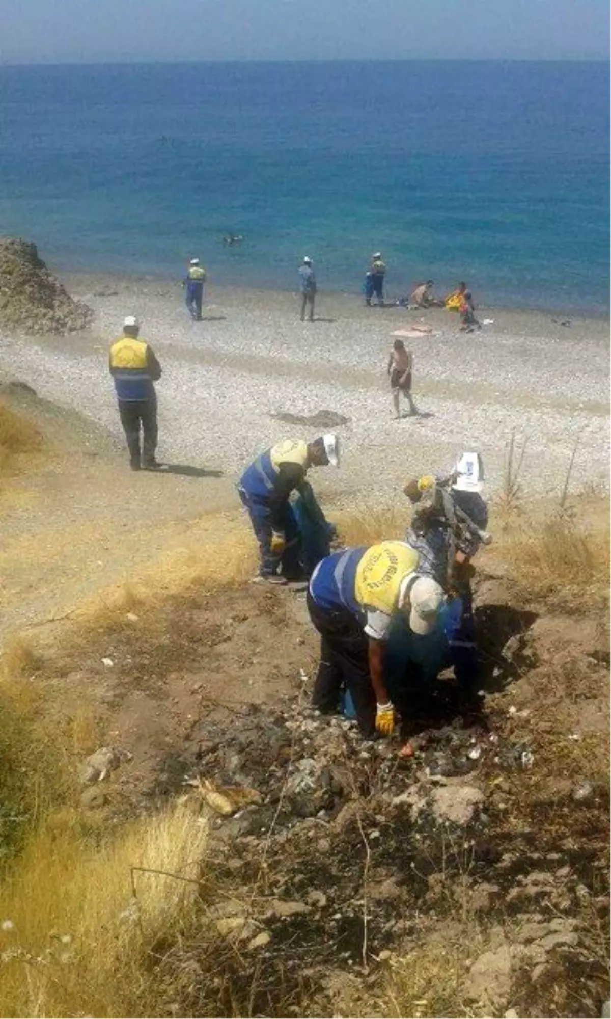 Tuşba Belediyesi\'nden Sahil Temizliği