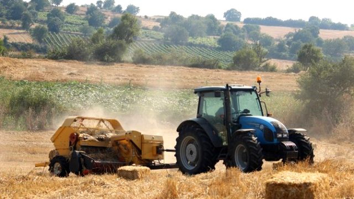 40 Derece Sıcakta Gençlerin Ekmek Mücadelesi