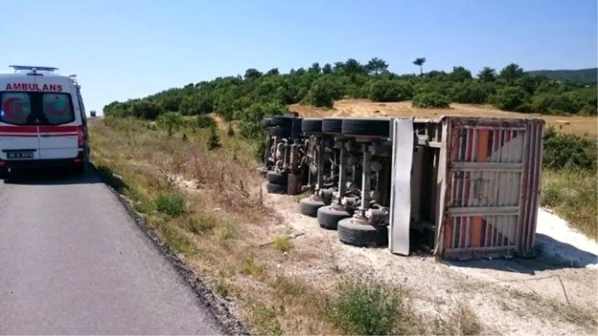 Seyir Halindeyken Araca Giren Arıyı Kovalayan Şoför TIR\'ı Devirdi