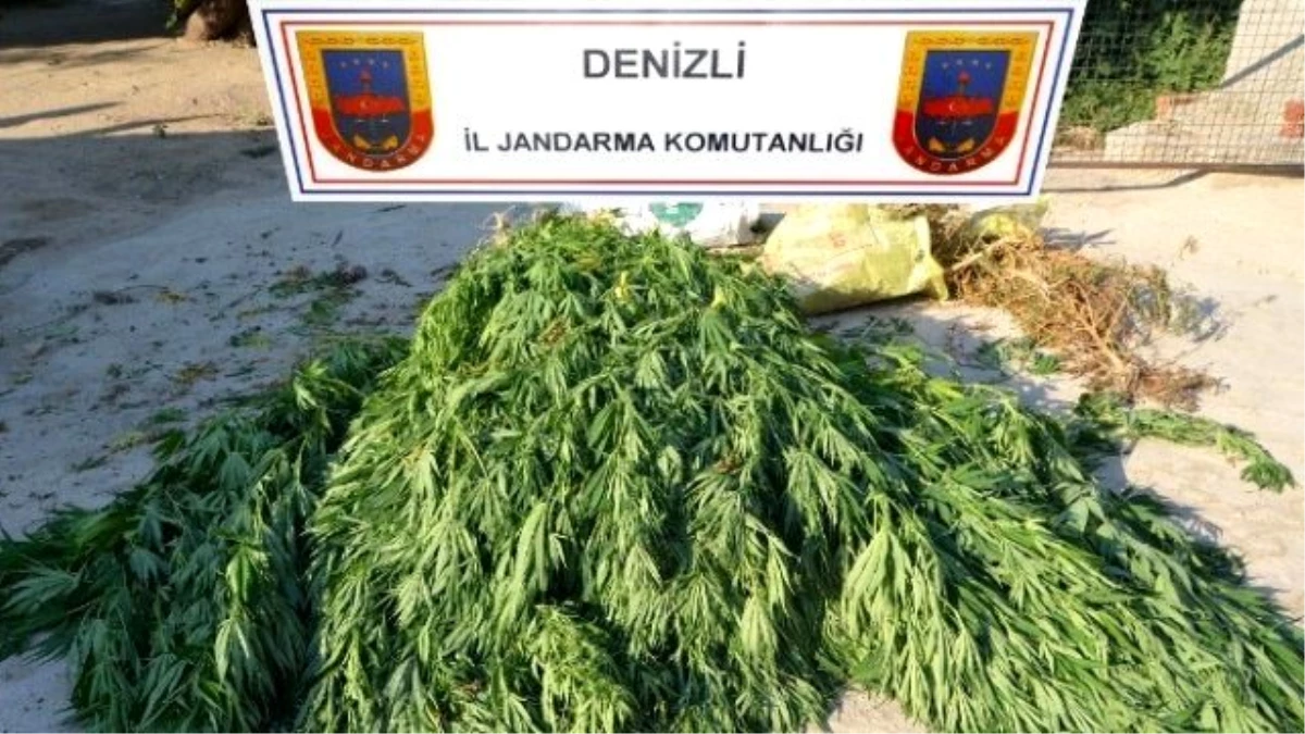 Denizli\'de Uyuşturucuya 4 Gözaltı