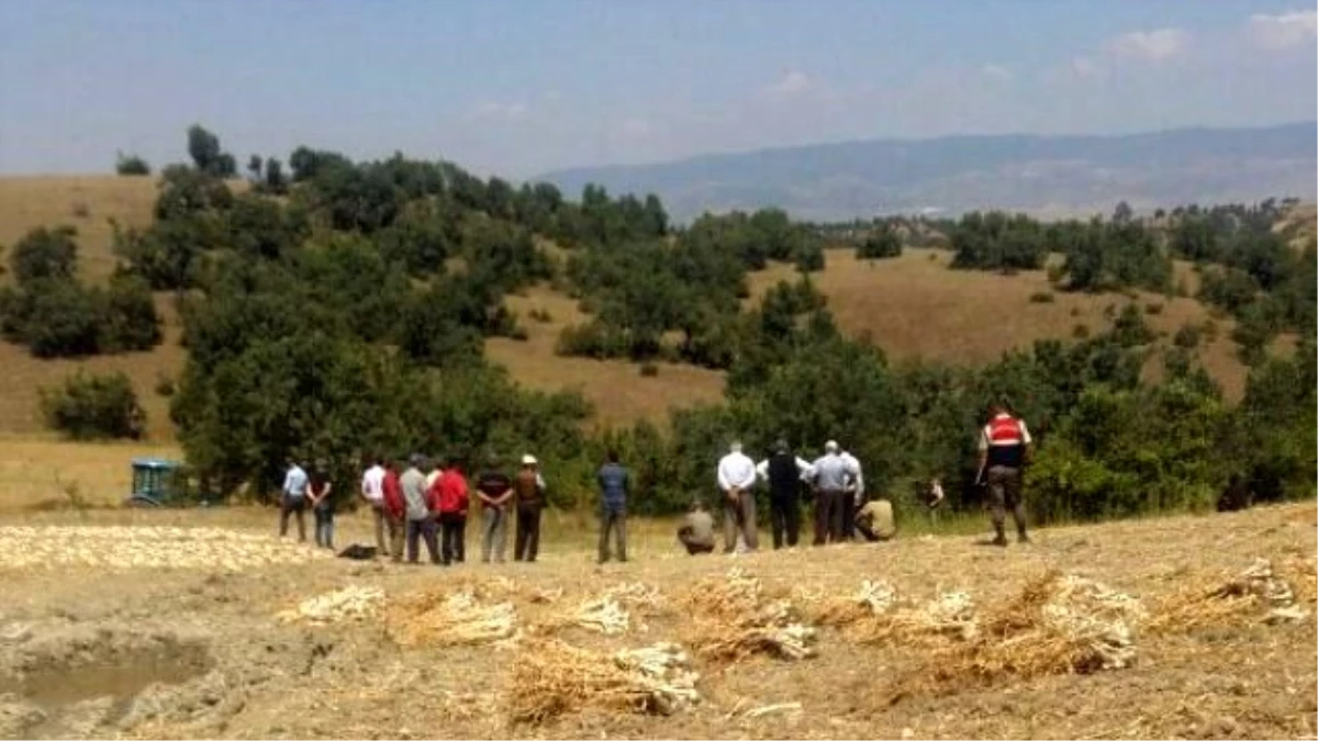 Kastamonu\'da Traktörün Altında Kalan Çiftçi Hayatını Kaybetti